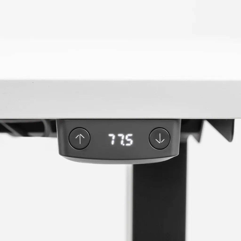 Modest2_BW_detail_5.webp