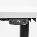 Modest2_BW_detail_5.webp