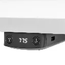 Modest2_BW_detail_3.webp